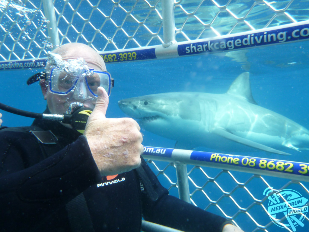 Shark Selfies