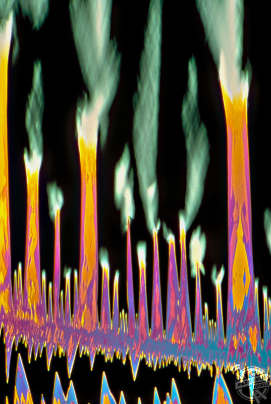 Light micrograph (LM) of Nicotine crystals. Dennis Kunkel / SPL / mediadrumworld.com