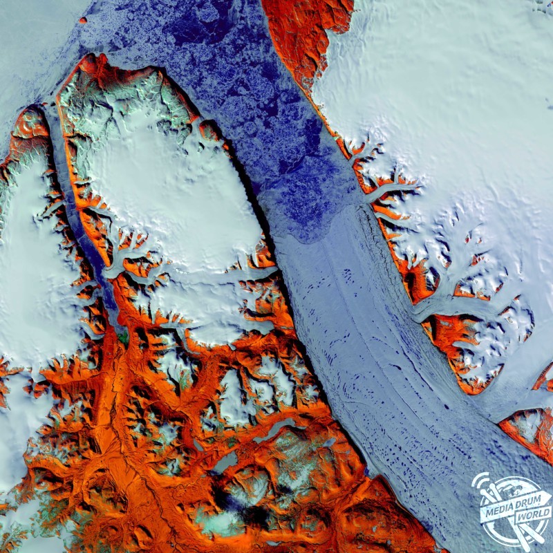 Petermann Glacier, satellite image. This tidewater glacier, located on the north-western coast of Greenland, terminates in a giant floating ice tongue. This extends from bottom right towards upper left. At 15-20 kilometres wide and 70 kilometres long, it is the longest floating glacier in the Northern Hemisphere. The infrared imaging used here shows bare ground (red) that is ice-free in the summer.  US Geological Survey / SPL / mediadrumworld.com