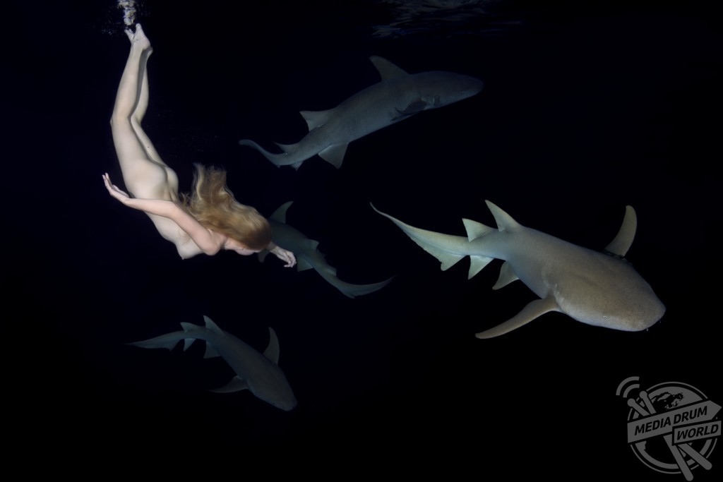 Jaw Dropping Pictures Show A Brave Naked Woman Swimming Underwater With Sharks As Part Of An