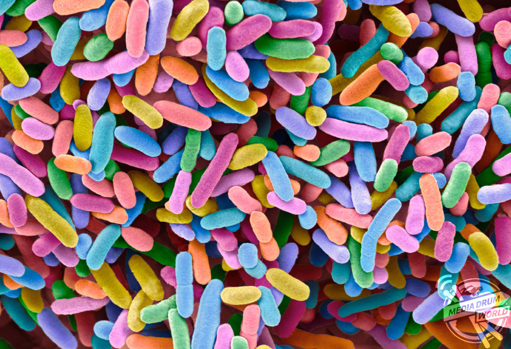 Magnified Images Of Everyday Objects