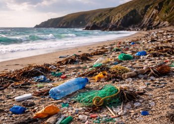 Cornwall Beach Plastic