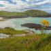 Wild Beauty at the Edge of the World: Travel Highlights of Northern Scotland