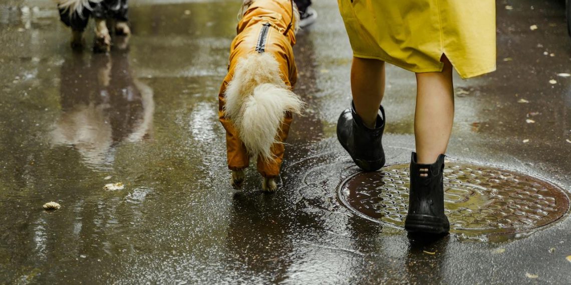 Met Office issues yellow rain warning across UK regions as heavy showers and flooding continue to hit the UK