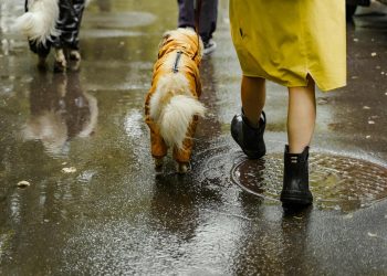 Met Office issues yellow rain warning across UK regions as heavy showers and flooding continue to hit the UK
